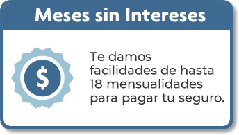 Meses Sin Intereses